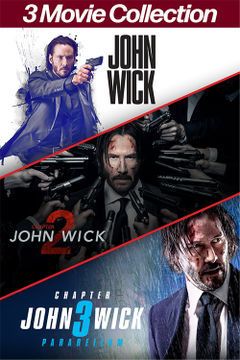 Watch John Wick 3 Movie Collection Movie Online Buy Rent John