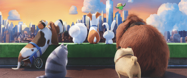 The Secret Life of Pets