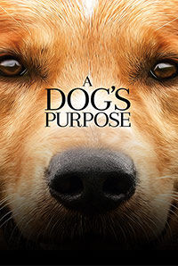 A Dog`s Purpose A Dog`s Purpose