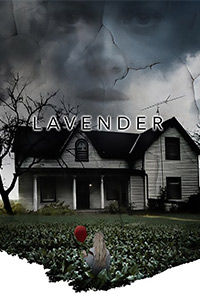 Lavender Lavender
