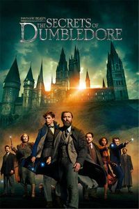 Fantastic Beasts: The Secrets Of Dumbledore (Hindi)