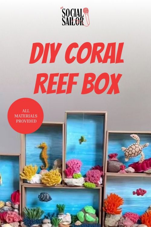 DIY Coral Reef
