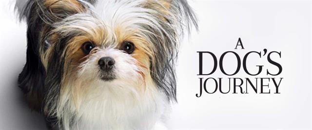 A Dogs Journey