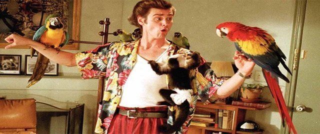 Ace Ventura: Pet Detective