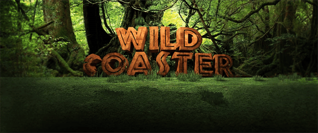 Wild Roller Coaster- Combo (7D)