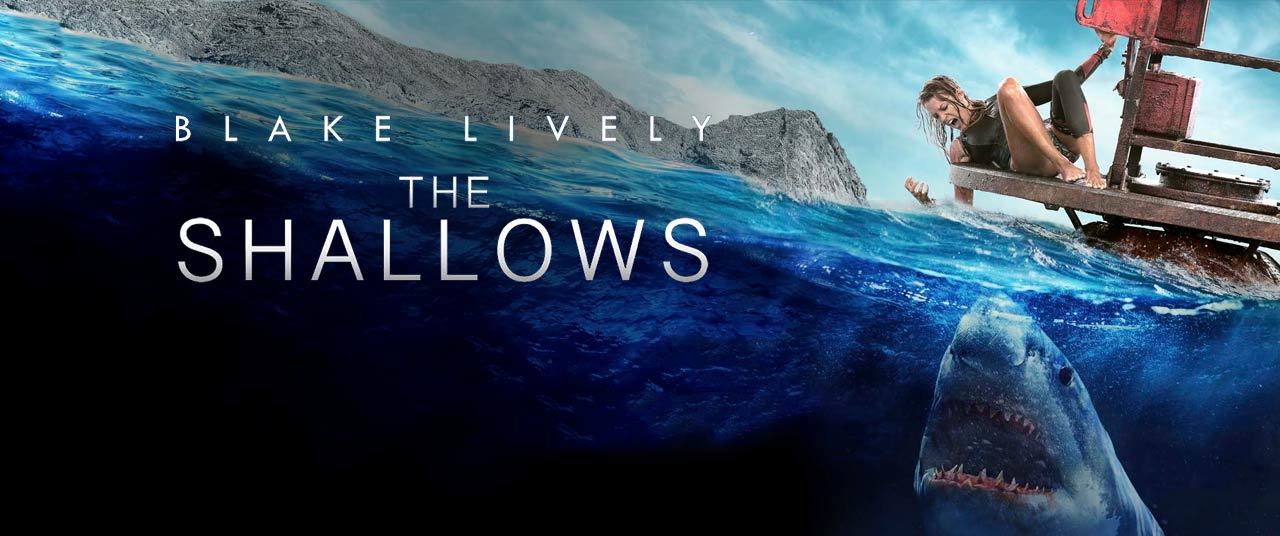 The Shallows Kinox The Shallows Kinox