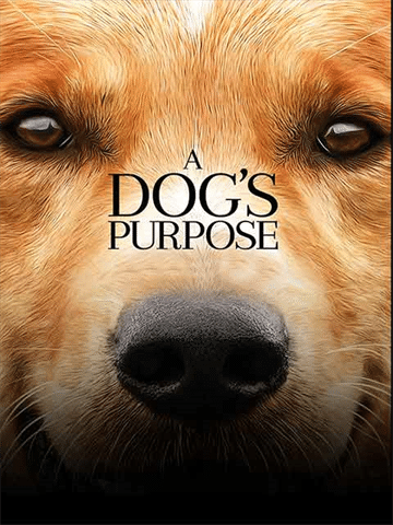 a dogs purpose rating