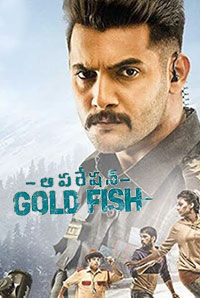 Operation Gold Fish
