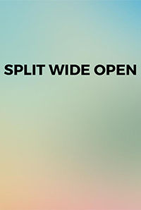 Split Wide Open