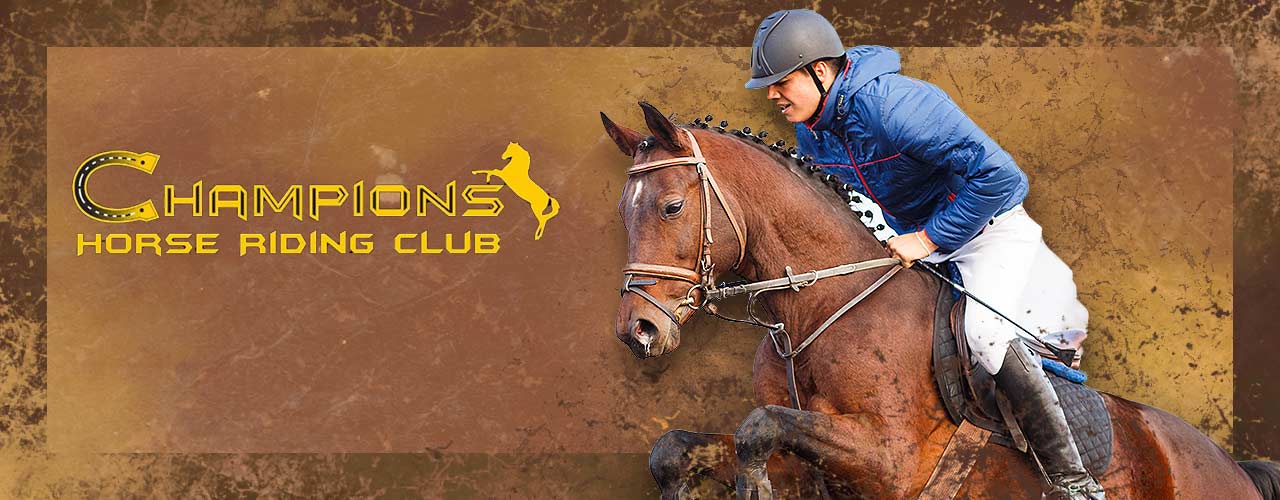 Champions Horse Riding Club