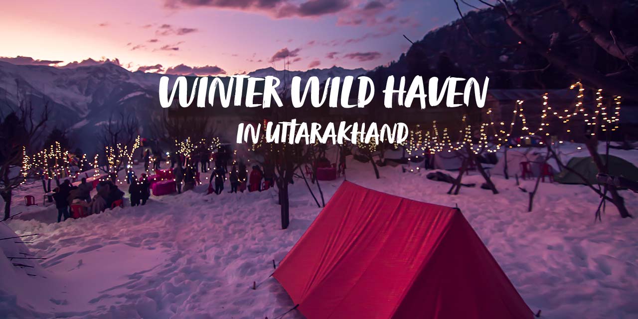 Winter Wild Haven In Uttarakhand Adventure Christmas Celebrations Festivals Parties Tickets Uttarkashi Bookmyshow