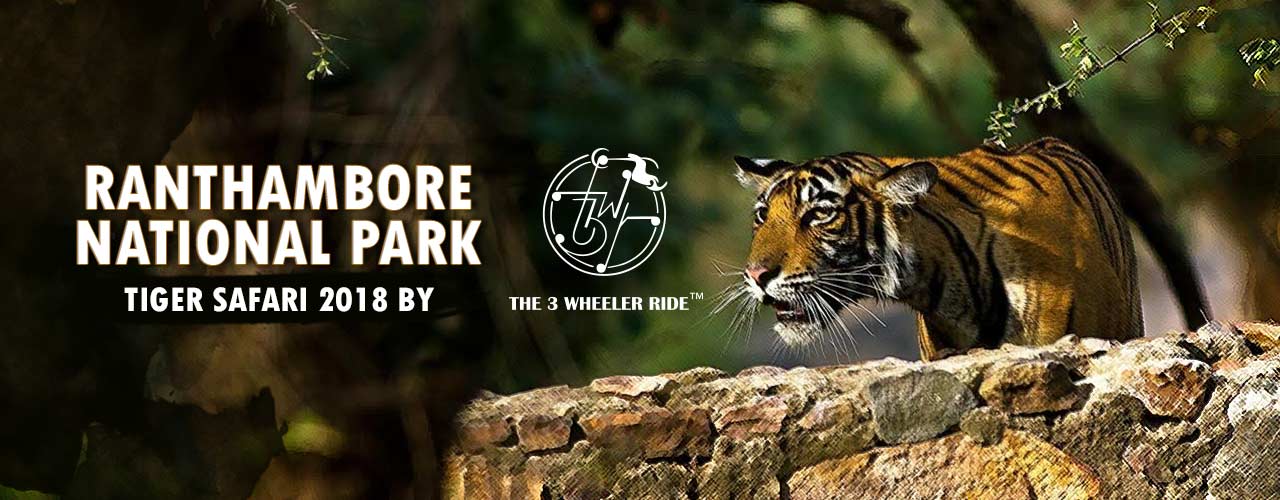 Ranthambore National Park Tiger Safari 18 By The 3 Wheeler Ride Swmp Bookmyshow