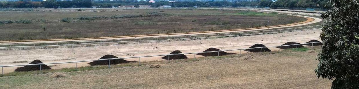 Mahalaxmi Race Course: Mumbai