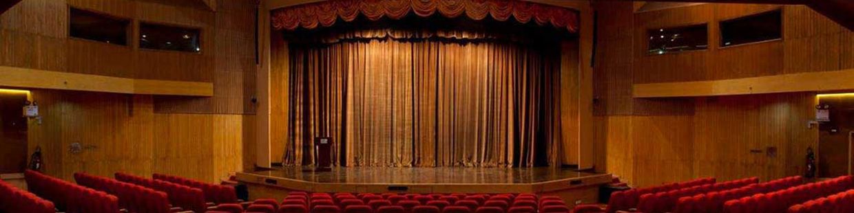 The Stein Auditorium, India Habitat Centre: Delhi