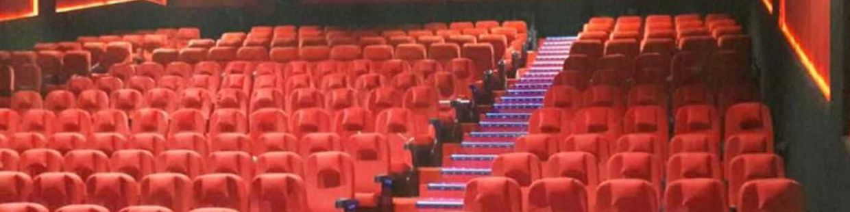 Krishna Metro Cinema: Sakti