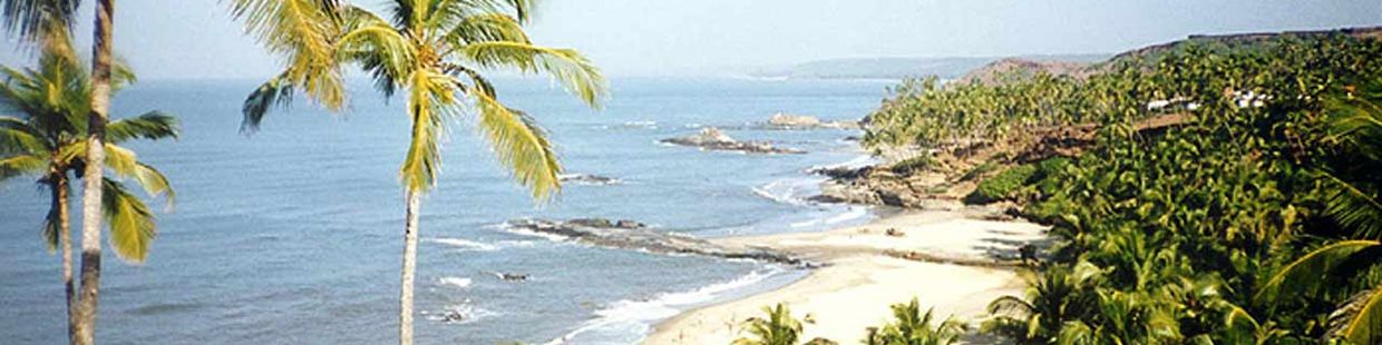 HillTop Vagator: Goa